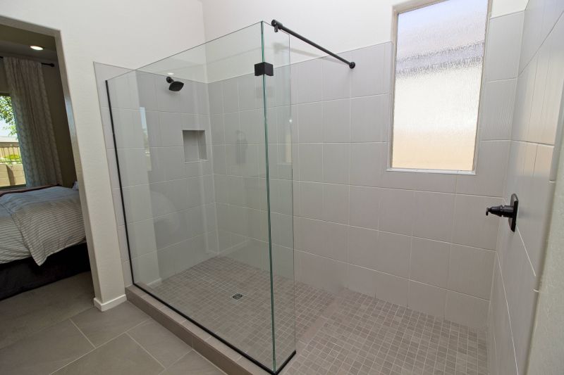 Contemporary Shower with Frameless Door